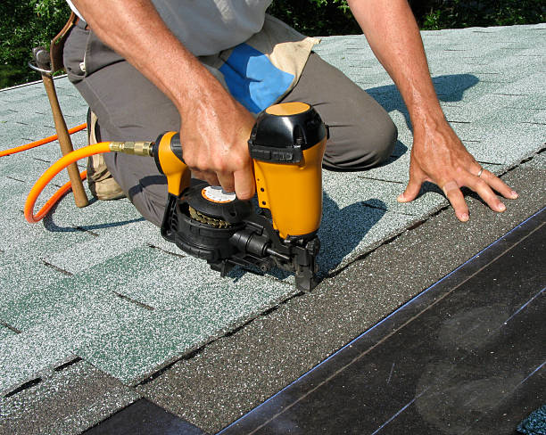 Best Roof Maintenance Services  in Little Canada, MN
