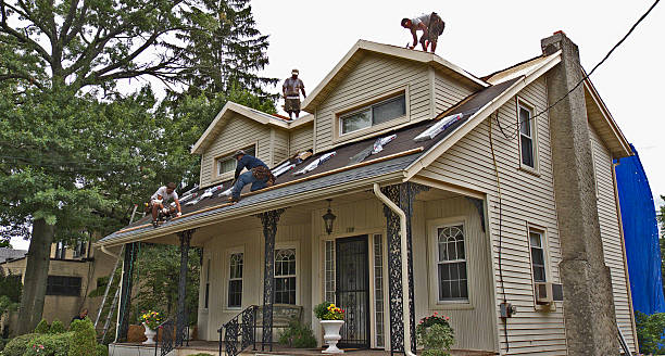 Best Residential Roofing Contractor  in Little Canada, MN