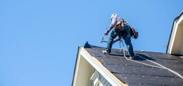 Professional Roofing Contractor in Little Canada, MN